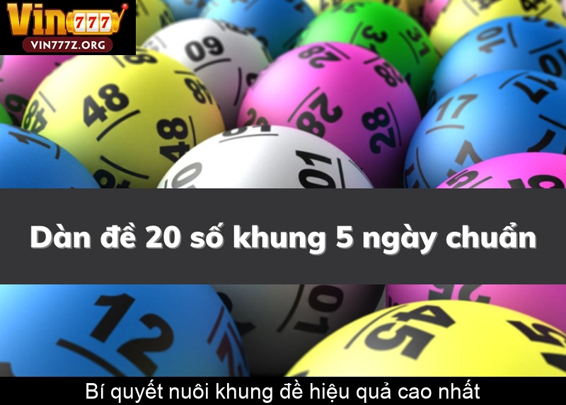 Bí quyết nuôi khung đề hiệu quả cao nhất