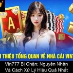 Vin777 Bị Chặn Nguyên Nhân Và Cách Xử Lý Hiệu Quả Nhất