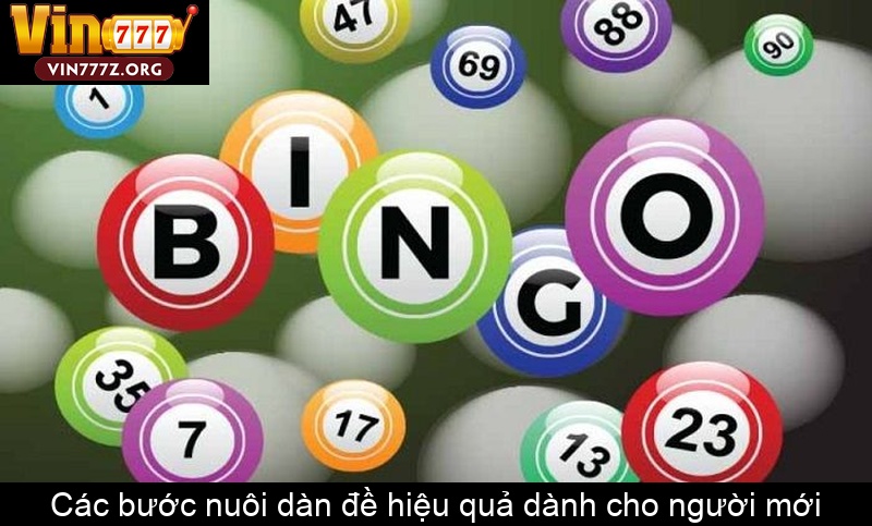 Các bước nuôi dàn đề hiệu quả dành cho người mới