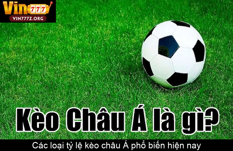 Các loại tỷ lệ kèo châu Á phổ biến hiện nay