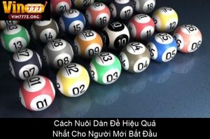 Nuôi Dàn Đề Khung 3 Ngày: Bí Quyết Thắng Lớn Từ Cao Thủ