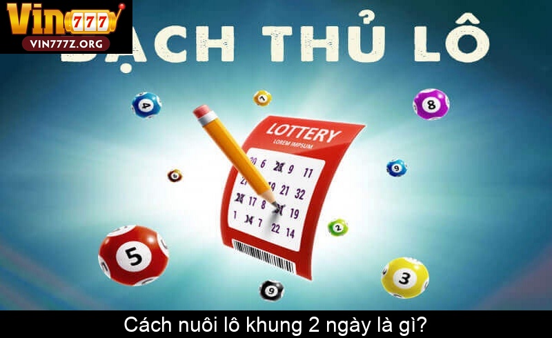 Cách nuôi lô khung 2 ngày là gì