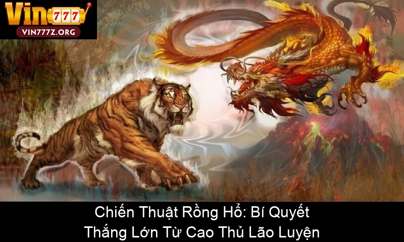 Chiến Thuật Rồng Hổ Bí Quyết Thắng Lớn Từ Cao Thủ Lão Luyện