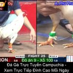 Đá Gà Trực Tuyến Campuchia Xem Trực Tiếp Đỉnh Cao Mỗi Ngày