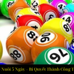 Dàn Đề 25 Số Nuôi 5 Ngày – Bí Quyết Thành Công Trong Cá Cược