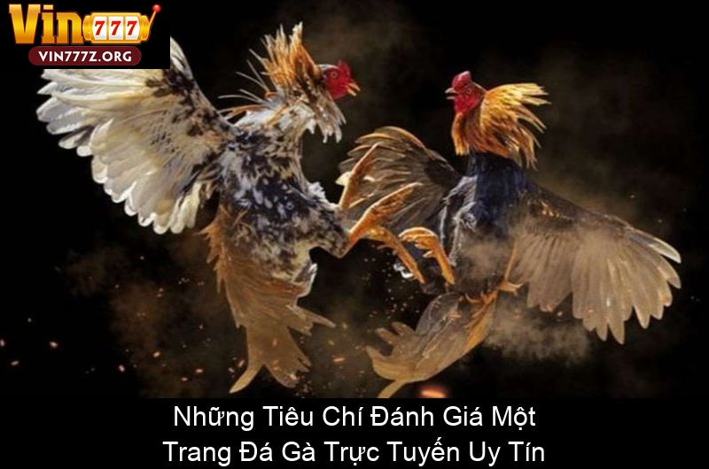Những Tiêu Chí Đánh Giá Một Trang Đá Gà Trực Tuyến Uy Tín