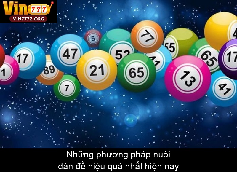 Những phương pháp nuôi dàn đề hiệu quả nhất hiện nay