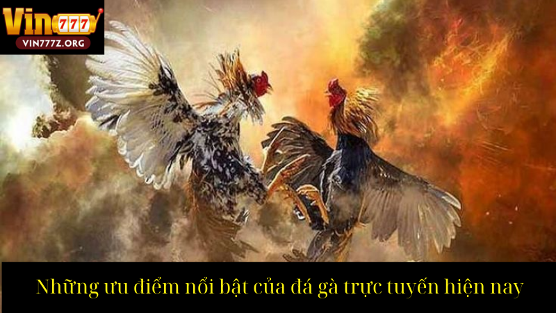 Những ưu điểm nổi bật của đá gà trực tuyến hiện nay