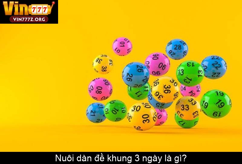 Nuôi dàn đề khung 3 ngày là gì