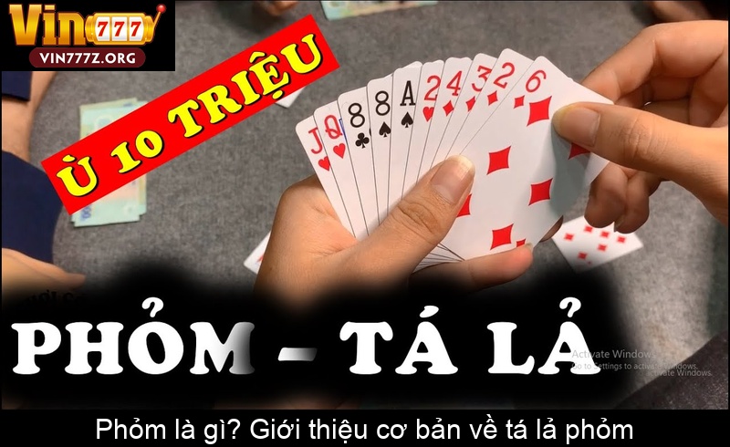 Phỏm là gì Giới thiệu cơ bản về tá lả phỏm