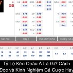 Tỷ Lệ Kèo Châu Á Là Gì Cách Đọc và Kinh Nghiệm Cá Cược Hay