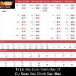 Tỷ Lệ Kèo Euro Cách Đọc Và Dự Đoán Kèo Chính Xác Nhất