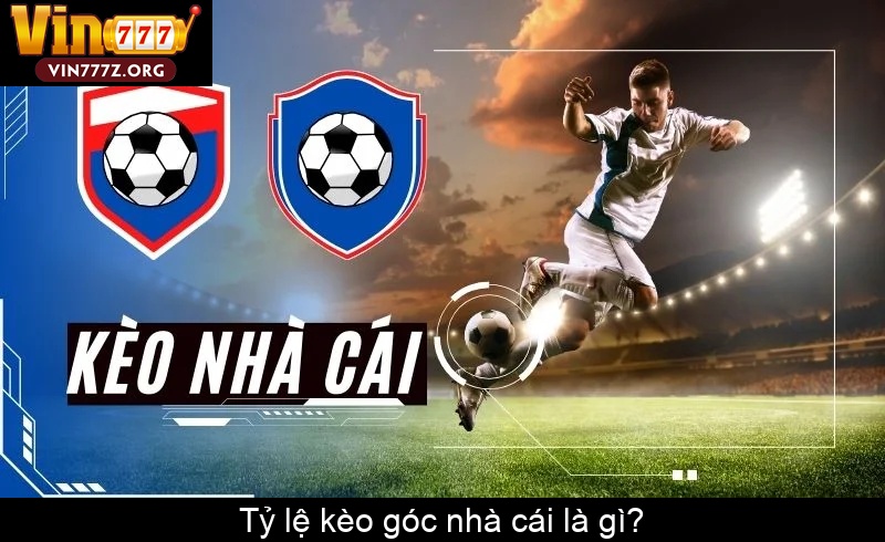 Tỷ lệ kèo góc nhà cái là gì
