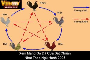 Cách Xem Chân Gà Đá Hay: Bí Quyết Chọn Chiến Kê Bất Bại